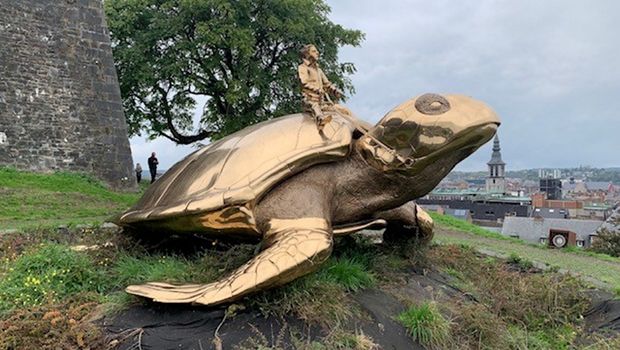 Schildkröte Zitadelle von Namur in Belgien 