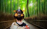 Bambuswald