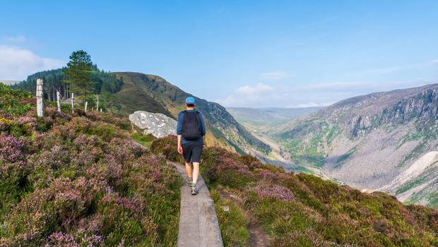 Glenealo Valley in Wicklow Gebierge