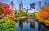 Herbst in New York