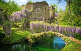 The Nymph Garden