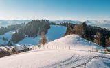 Blick auf Pfänderdohle 