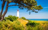 Leuchtturm Dornbusch Hiddensee 
