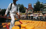 Käsemarkt in Alkmaar