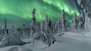 Aurora 