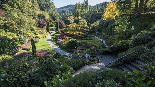 Butchart Gardens