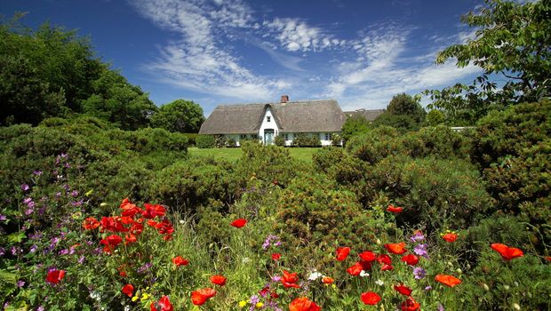 Sylt