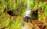 Tropischer Wasserfall auf dem Wanderweg Levada da Central da Ribeira da Janela auf Madeira